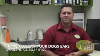 How to clean your dogs ears