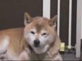 ね・・・眠い・・・vo2
