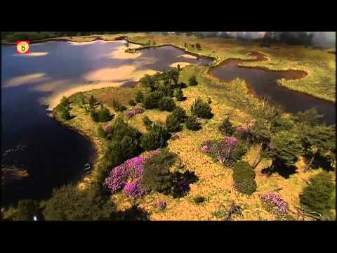 Bekijk hier de video