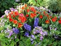 Missouri Botanical Gardens
