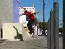 steve nesser