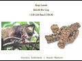 Kopi Luwak Coffee - $65 a cup! Kopi Luwak Coffee - $65 a cup!