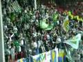 Fredrikstad - Hammarby
