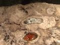 FRESNEL LENS SOLAR POWERED CEMENT MELTING SUN COLLECTION ALTERNATIVE ENERGY