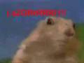 'Shoop Da Whoop' - Dramatic Chipmunk