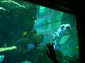 Seattle Aquarium