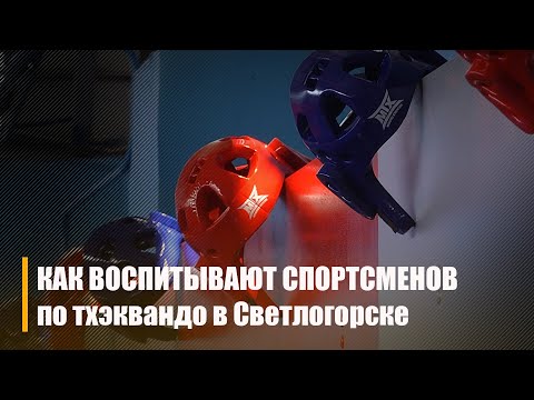 Как воспитывают спортсменов в Светлогорске видео