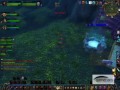 Amane: Feral Druid PvP