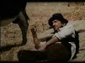 Video anschauen