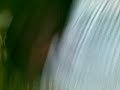 22062009