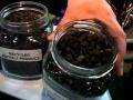 ECOSMART PRODUCT SPOTLIGHT: GREENPATCH