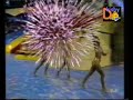 grand prix del verano 1999 utiel   balmaseda