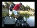 Chatterbait fish