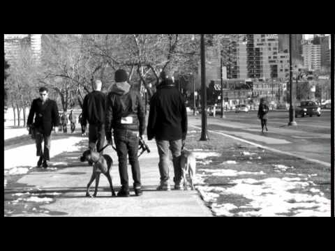 DOG BLESS YOU Feat TRUE82 