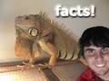 Proper Iguana Care/ Facts