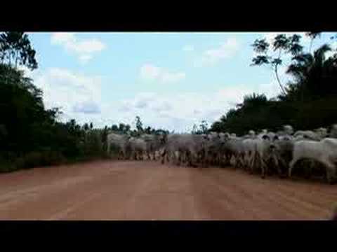 Imagem de Amostra do You Tube