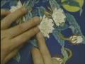 Chinese Painting - Flower & Bird (#10 playlist)