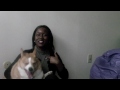 How to make Vegan Dog Cookies - WhatTheBuck BuckFactor