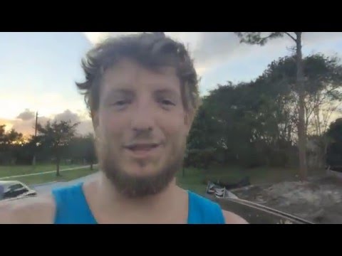 YouTube reptile video