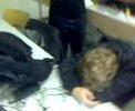 Hirner is back sleep-shocking Hirner is back sleep-shocking