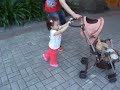 20091105_動物園推推車