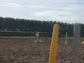 Passage galop 7 � st cyran (komic\
