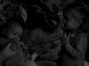 More of the Cousins and Sister fighting