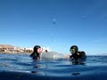 Saltfree divers in dahab