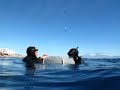 Saltfree divers in dahab