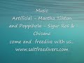 Saltfree divers in dahab