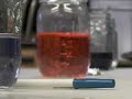 Hydrochloric Acid Experiment Hydrochloric Acid Experiment