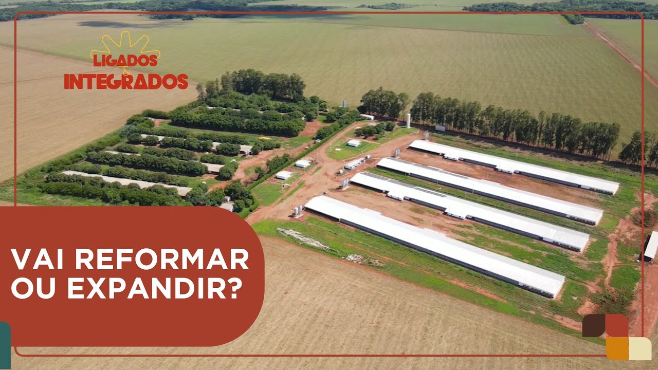 Banco Central exige adequações à lei de integração para empréstimos | Ligados & Integrados_04/02/25