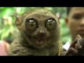 Ultra Kawaii - Scary Cute!