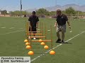 Plyometrics Training
