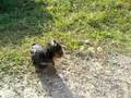 video13