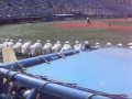 �Ԥ����� 2010 �������ع����ر� �������:YouTube������=988��