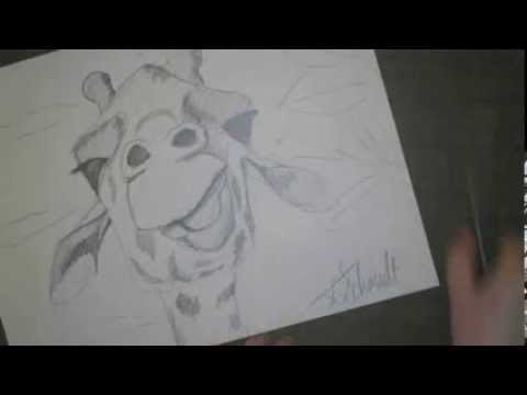 how to draw giraffe