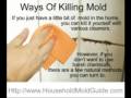 Black mold killer