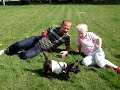 Hundehvalp overlever angreb af kamphund