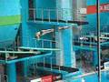 5335 - 3m Synchro Springboard Diving at Commonwealth Games