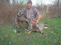 Iowa Whitetail Buck