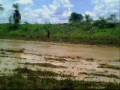 trilha em s.j. do rio preto