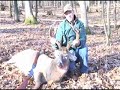 Buck Hollow Ranch deer hunting videos.