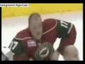 Minnesota Wild-(NHL)-Franchise Video 1