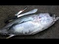 Go-Naminori:  Daily Lifestyle in Hawaii...