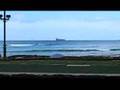 Go-Naminori: Daily Lifestyle in Hawaii...