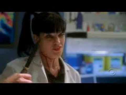 Pauley Perrette