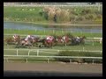 HORSE-RACING