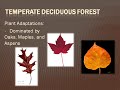 Environmental Science Biomes