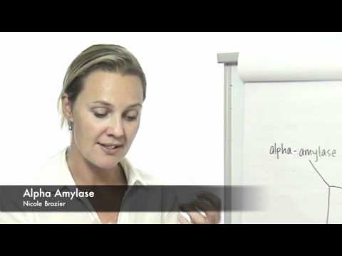 how to isolate alpha amylase